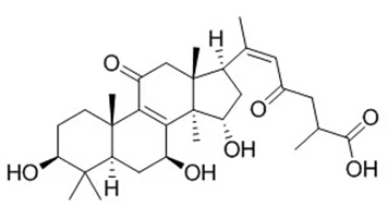 5e23cc91a0307.jpg 18.jpg